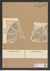 Aulacodiscus grunowii var. subsquamosa Pant. (de-Toni-Nr.: Genus 182, Species 4555) Zeichnungen Sammlung Grunow Nr. 8166 (NHMW-BOT-W0377534)